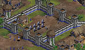 age of empires 2