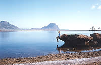 salines