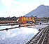 Le sel - les salines